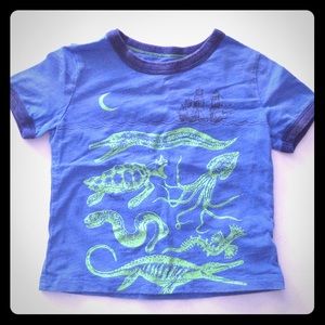 OshKosh Short Sleeve Blue Kids Dinosaur Top